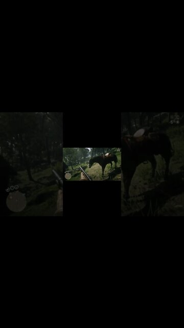 Is This My Best Horse? Avex Trolls Me. Red Dead Redemption 2 Online Moments #shorts #memes #gaming