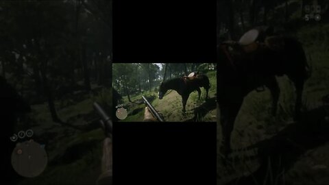 Is This My Best Horse? Avex Trolls Me. Red Dead Redemption 2 Online Moments #shorts #memes #gaming