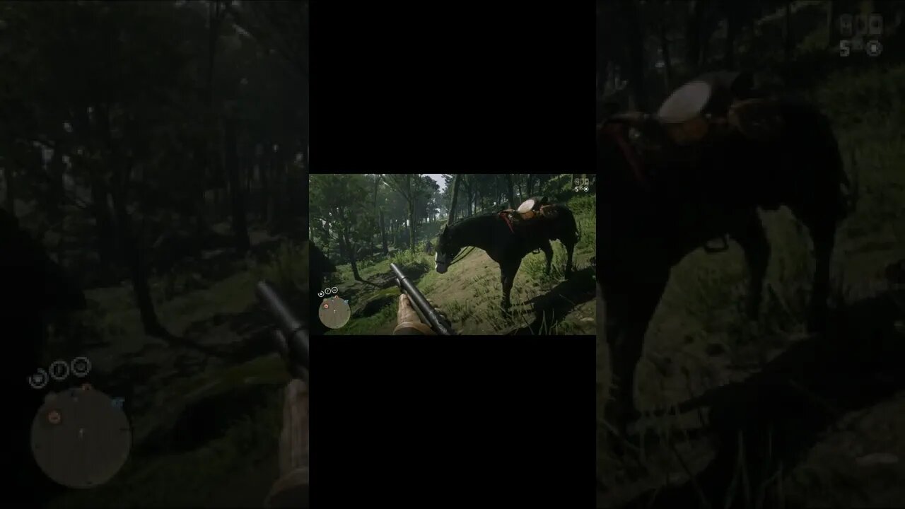 Is This My Best Horse? Avex Trolls Me. Red Dead Redemption 2 Online Moments #shorts #memes #gaming