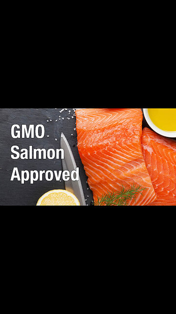FORMER FDA SAYS SALMON IS KILLING YOU, THE MERCURY COMING FROM THE FISH & SALMON THEY MAKE A MODIFIED VERSION OF CREATED IN CANADA!!🕎 Ezekiel 4;10-16 “Even thus shall the children of Israel eat their defiled bread among the Gentiles”