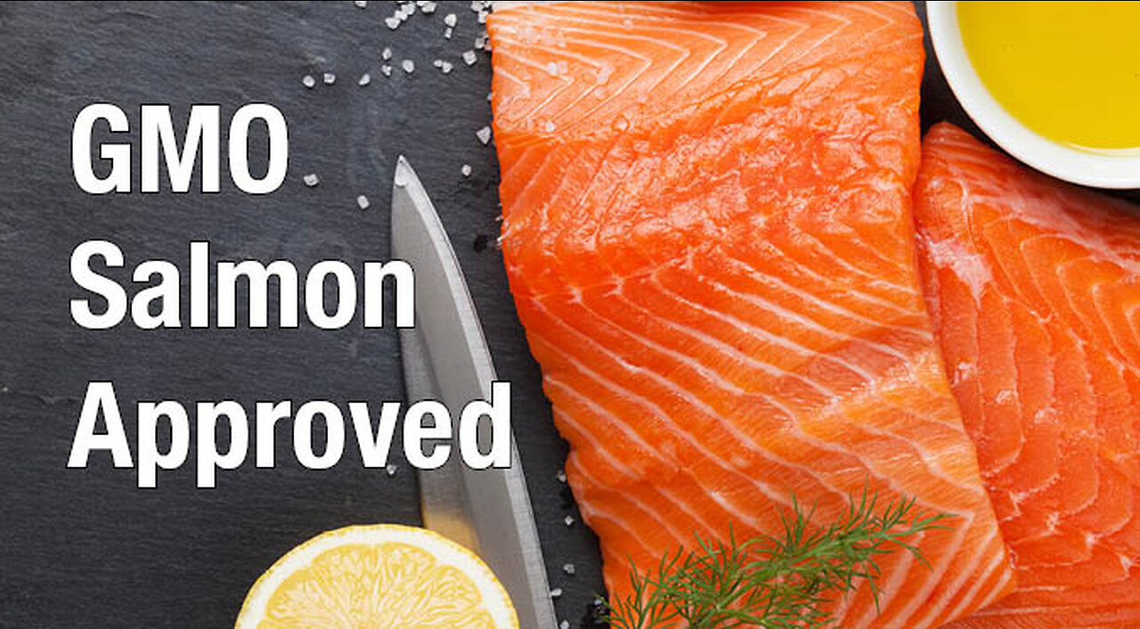 FORMER FDA SAYS SALMON IS KILLING YOU, THE MERCURY COMING FROM THE FISH & SALMON THEY MAKE A MODIFIED VERSION OF CREATED IN CANADA!!🕎 Ezekiel 4;10-16 “Even thus shall the children of Israel eat their defiled bread among the Gentiles”