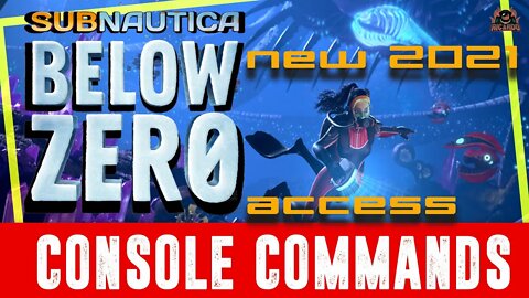 New Method | Access the Subnautica Below Zero Console