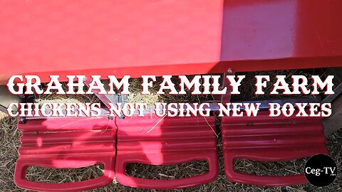 Graham Family Farm: Chickens Not Using New Boxes
