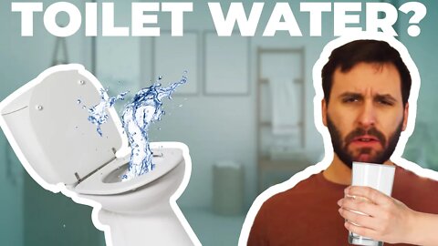 What Happens When You Drink Toilet Water?