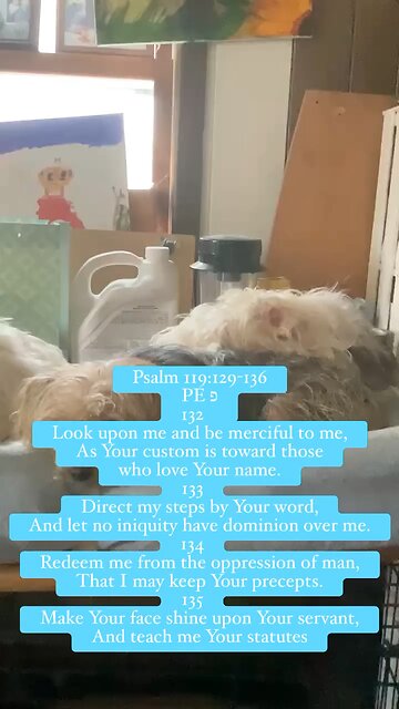 Psalm 119 direct my steps by You Word Lord #puppies #scripture #Jesus. #Psalm119 #God v 129-136