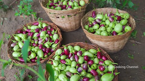 OIL BRINJAL _ Ennai Kathirikkai with Tomato Soup _ Village Vegan Recipe _ Simple Eggplant Recipe