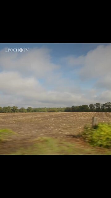 They Will Make You Eat Bugs & Be Happy?