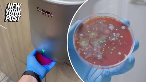 Bathroom hand dryer germs test: Movie theater, gas station and more