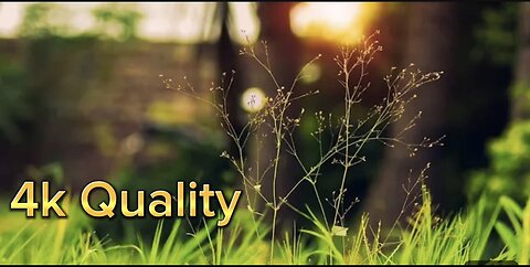 Amazing Nature [4k] Hd vedio