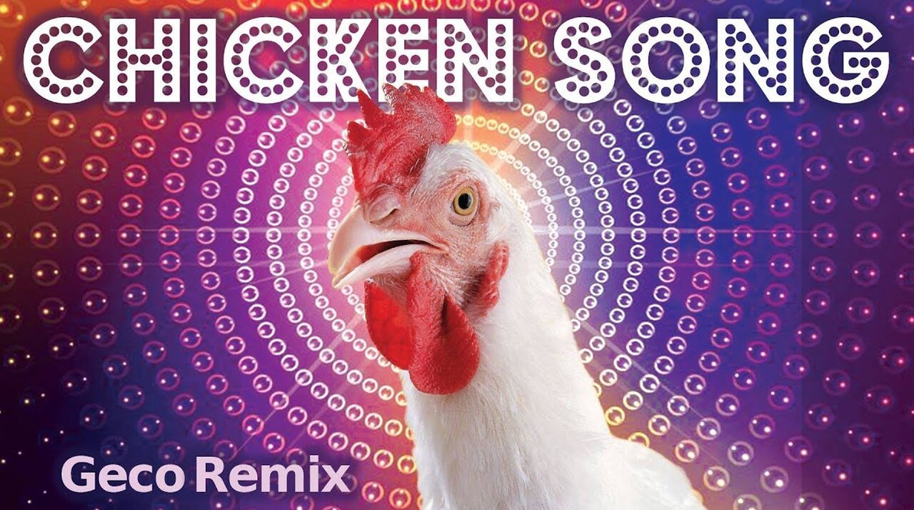 J.Geco - Chicken Song