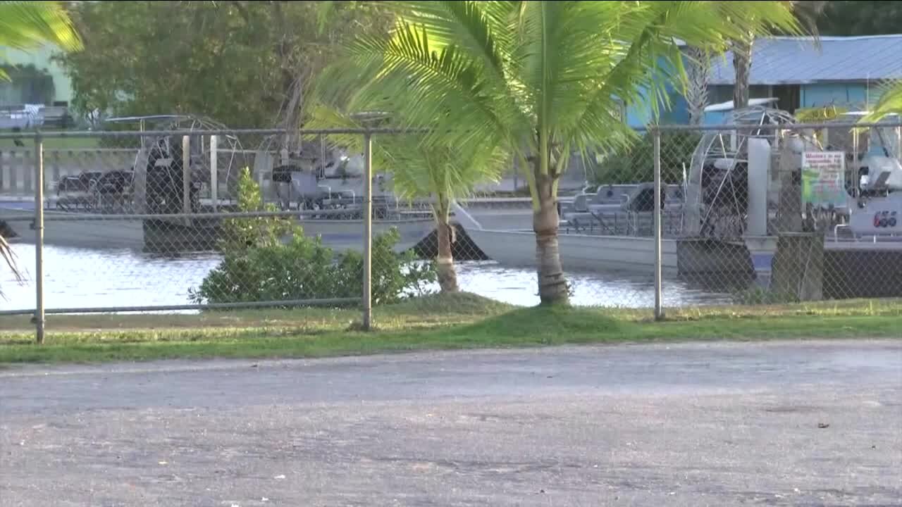 Man attacked by tiger after entering enclosure at Florida animal sanctuary