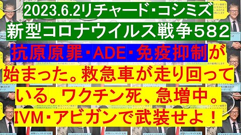 2023.06.02 リチャード・コシミズ新型コロナウイルス戦争５８２