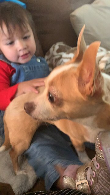 Babygirl love’s her puppy