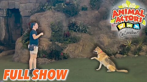 Dog Actor from "Spider-man No Way Home" Animal Actors On Location! Universal Studios Florida