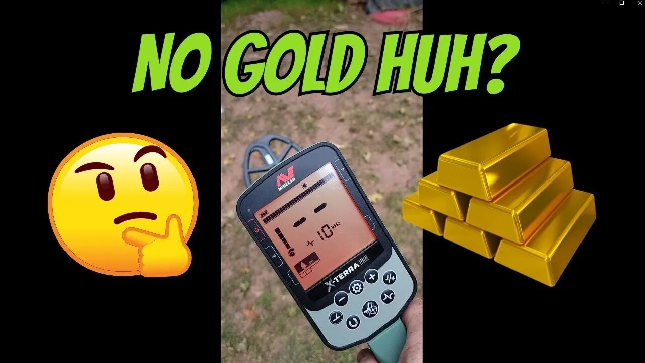 Is The Minelab X-Terra Pro Capable of Finding Gold? Huh?