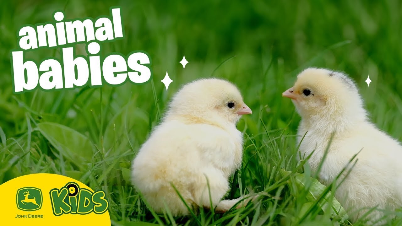 The CUTEST Baby Animals On The Farm! 🐣