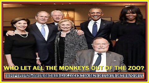 WHO LET ALL THE MONKEYS OUT OF THE ZOO?