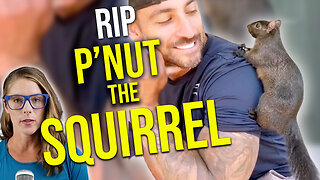 New York seizes, kills P'nut the Squirrel