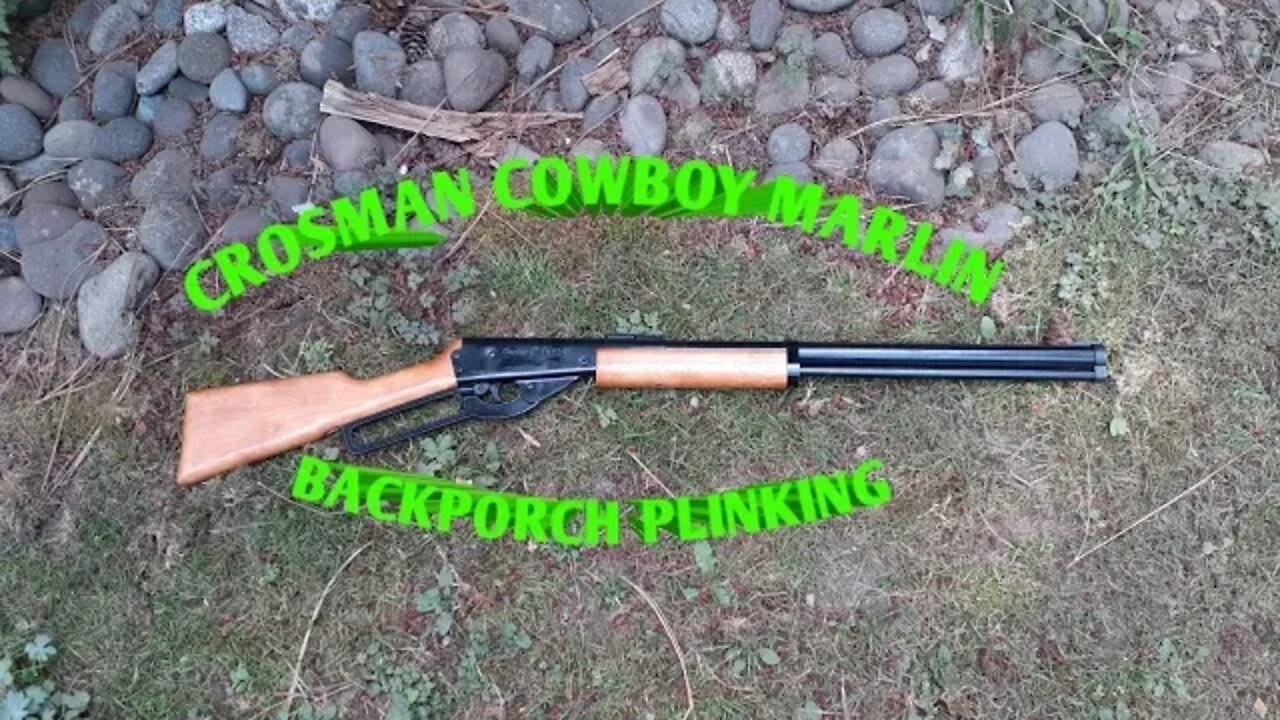 Crosman Marlin Cowboy *backporch plinking