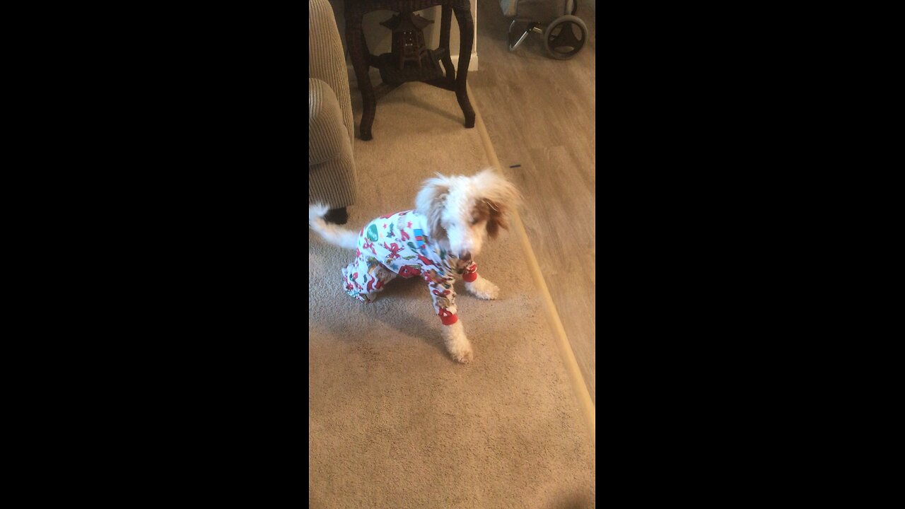 My little Lucy in her new Christmas PJ’s