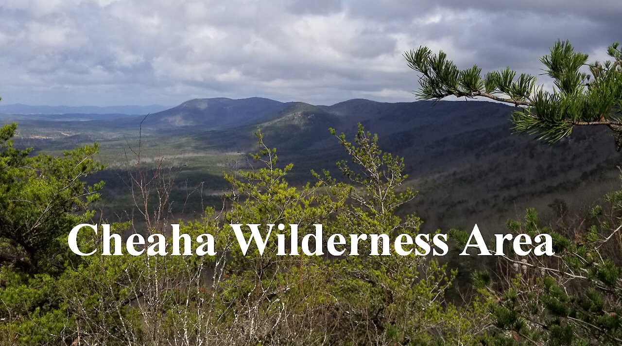 Cheaha Wilderness Area: Chinnabee, Skyway, Pinhoti Loop