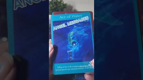 ANGEL CARD MESSAGES Hear from your loved ones on my YouTube channel. #angel #message #love