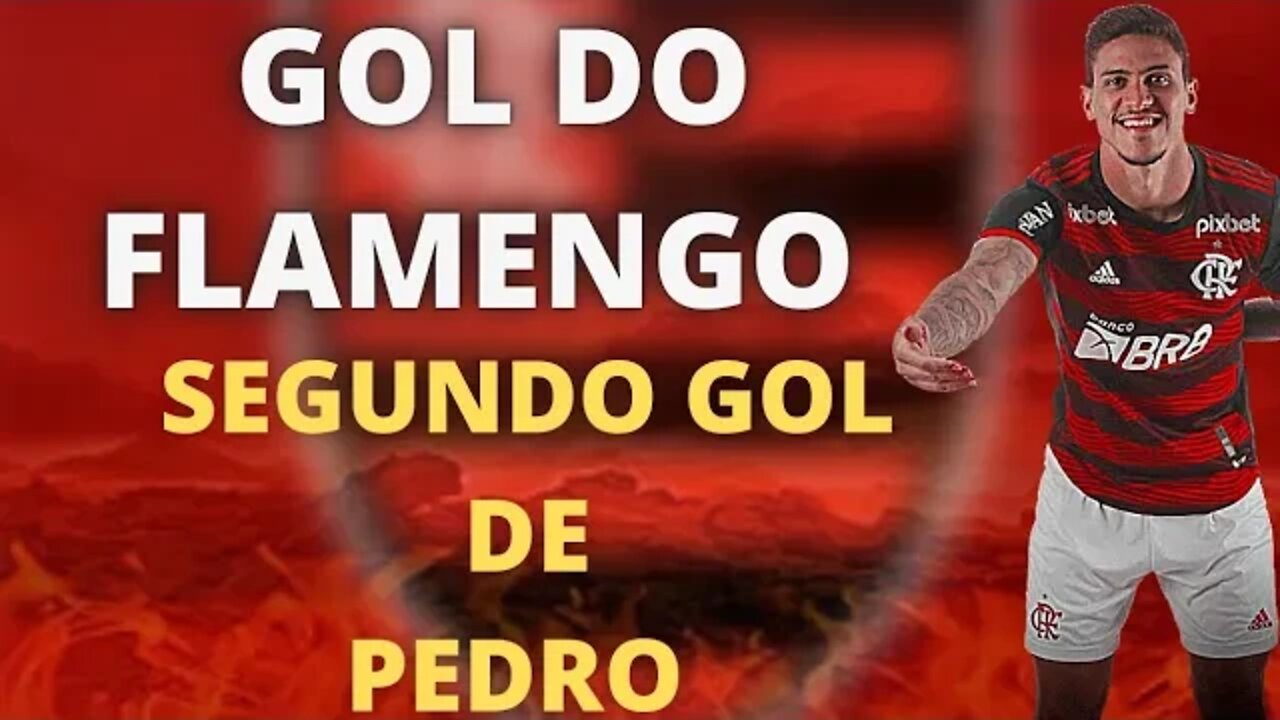 SEGUNDO GOL DO PEDRO/ FLAMENGO X VÉLEZ/ SEMIFINAL LIBERTADORES 2022