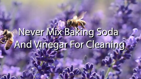 Vinegar and Baking Soda