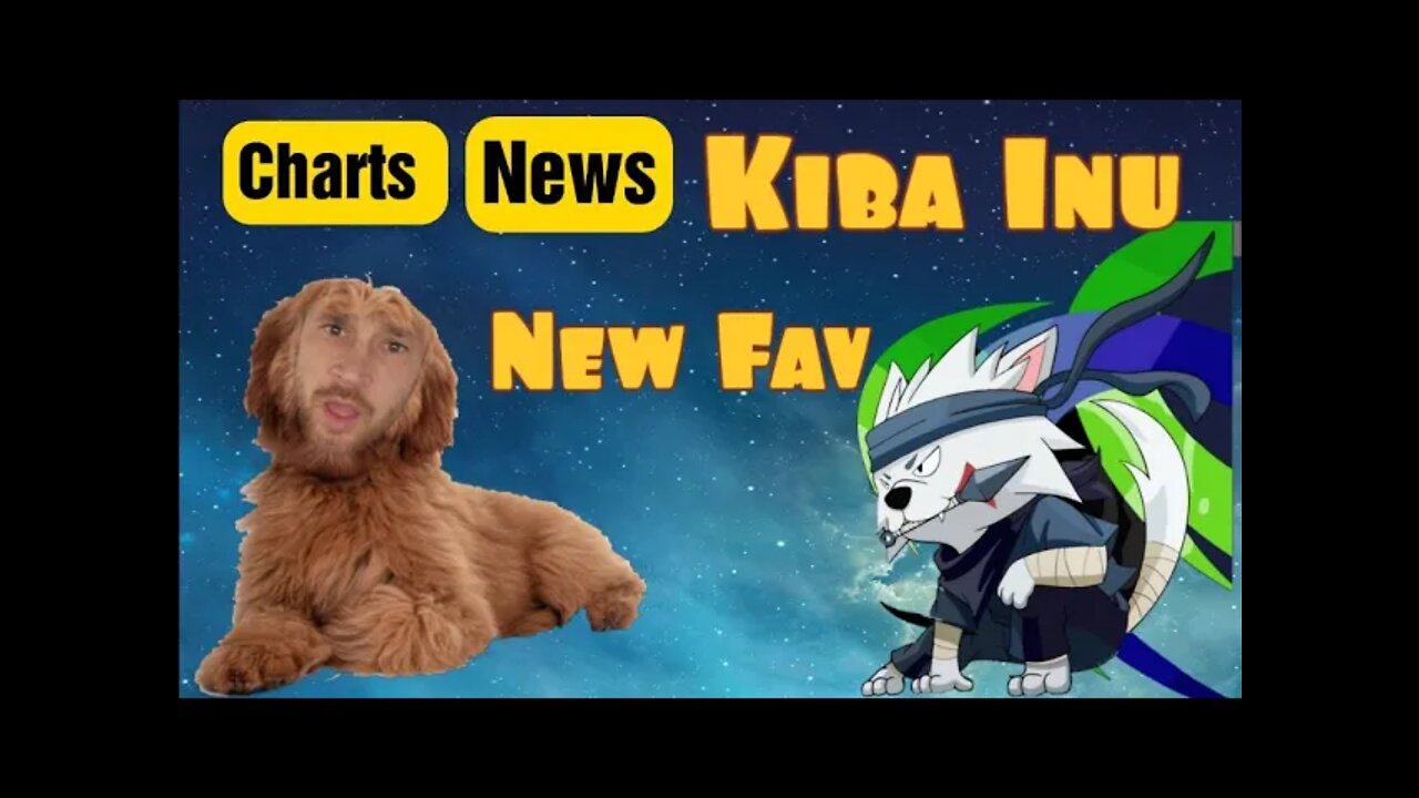 Charts, News, Roger Ver Again, PLS going to Poloniex, Kiba INu