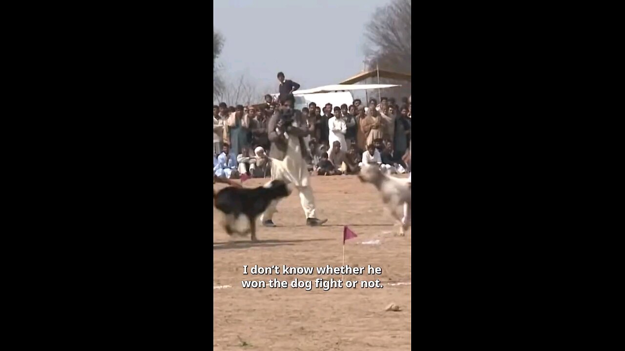 Tough man Vs Tough dog #shorts