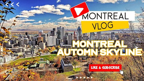 Montreal Skyscrpers Automn View
