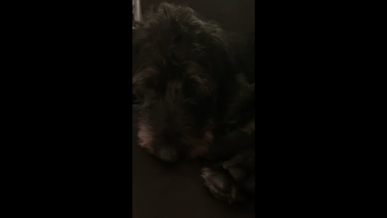 First Video! 💕 Hope you enjoy all of our content! 💕🫧☮️