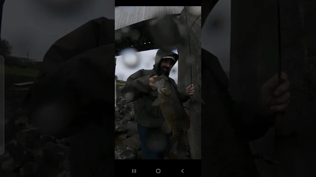 Big Smallies Underneath The (Covered) Bridge #shorts #fishing