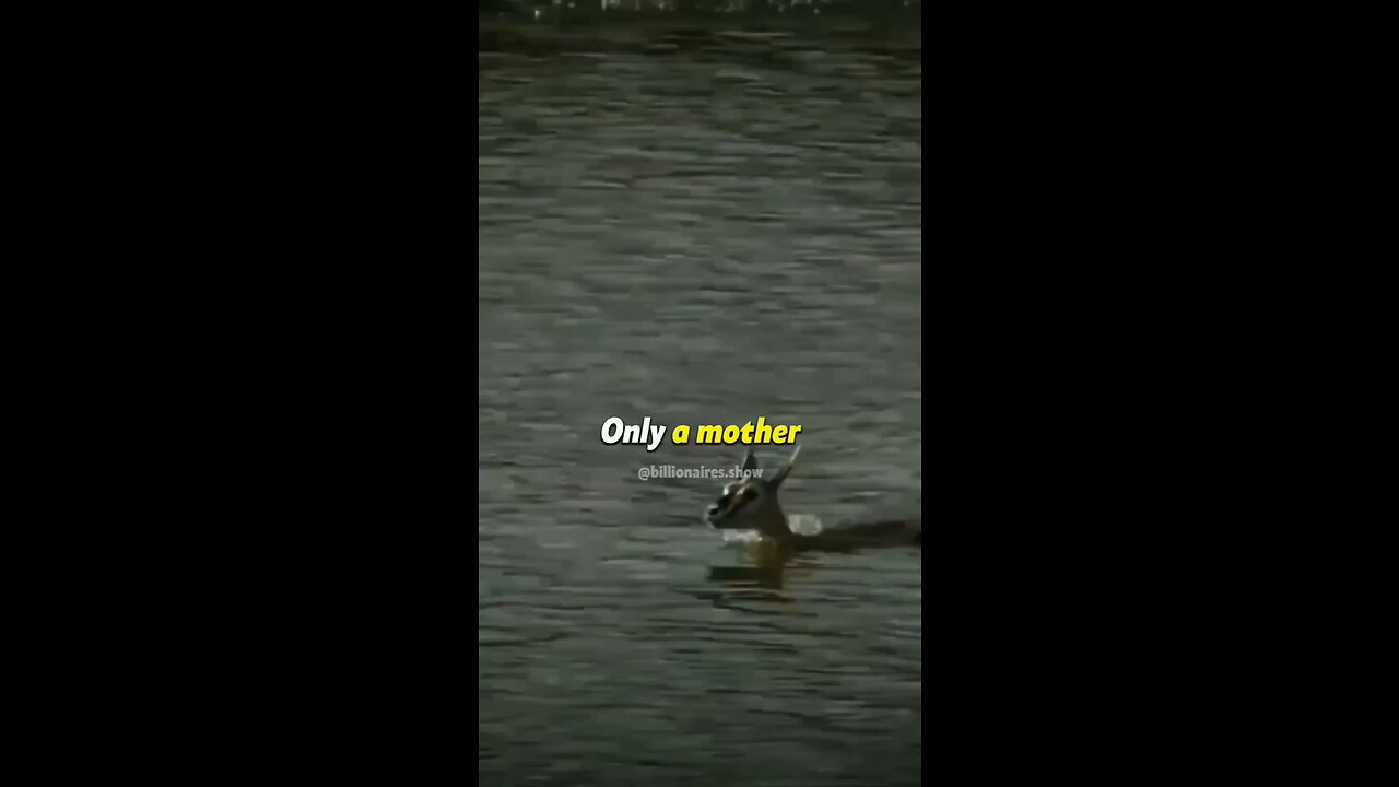 Only a mother can sacrifice her life for you.