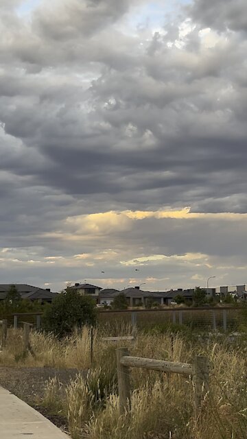 Give me a pair of strong wings…