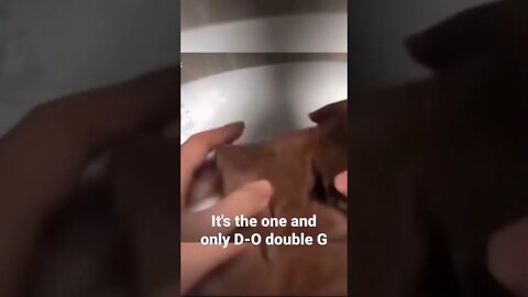 It's the one and only D-O double G #shorts