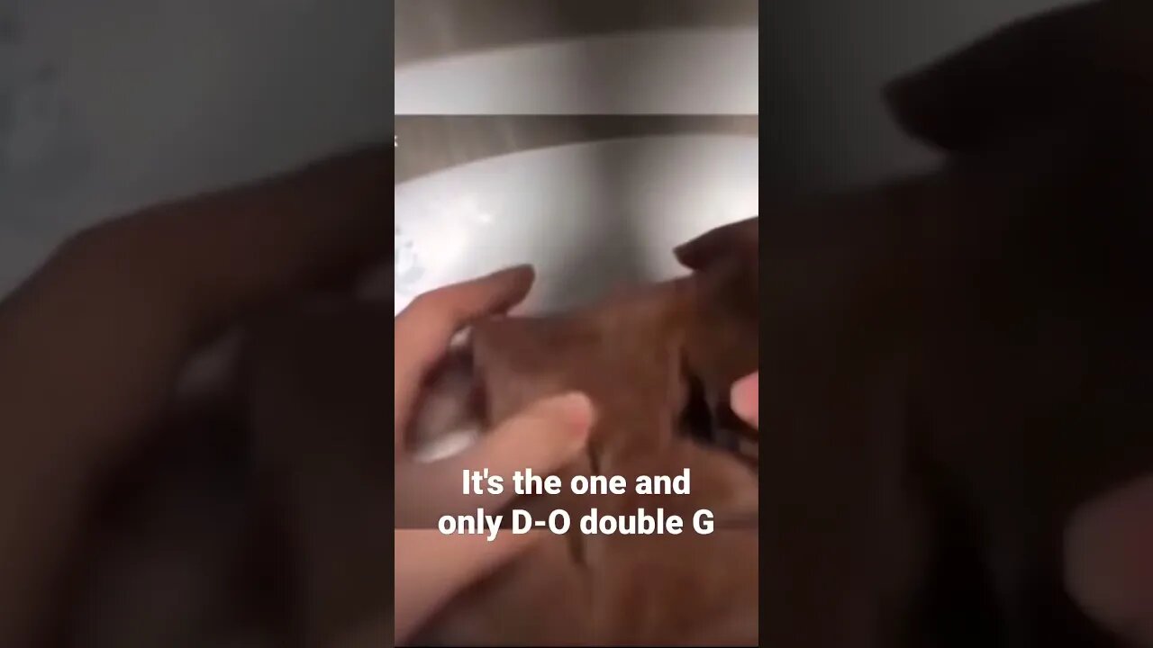 It's the one and only D-O double G #shorts