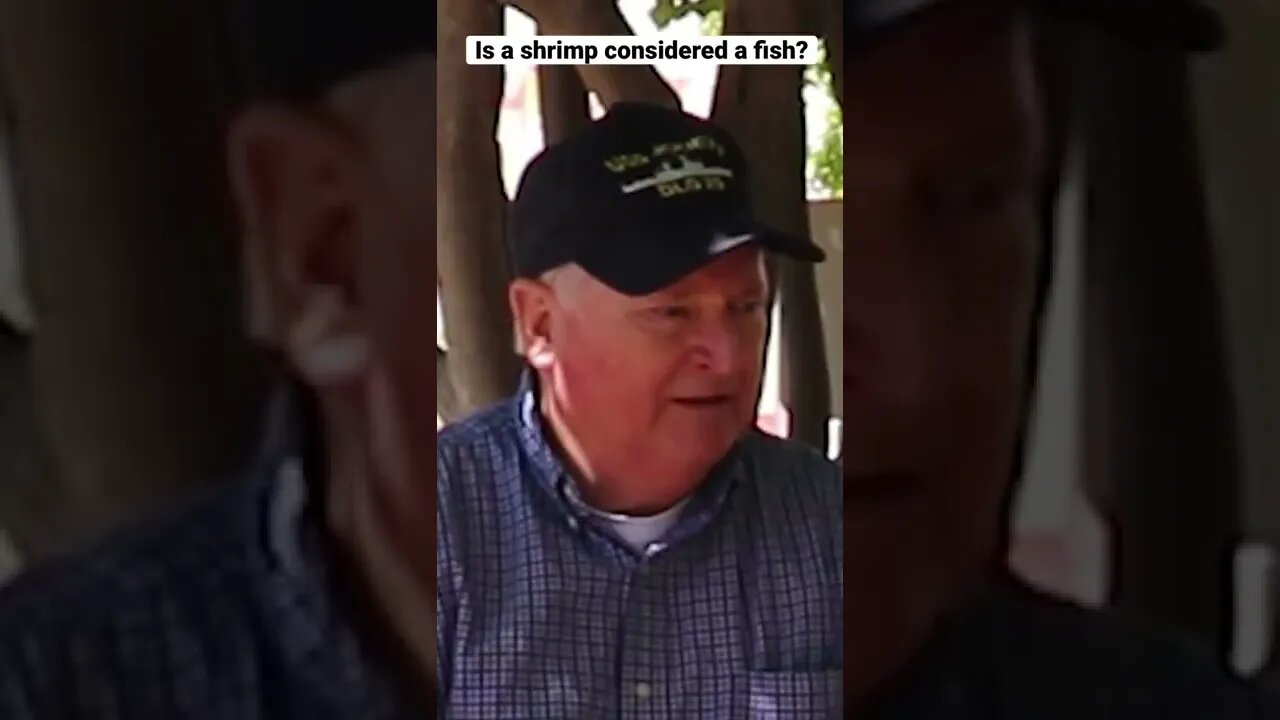 Is a Shrimp a Fish?
