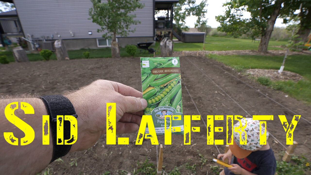 5. Starting the vegetable garden.