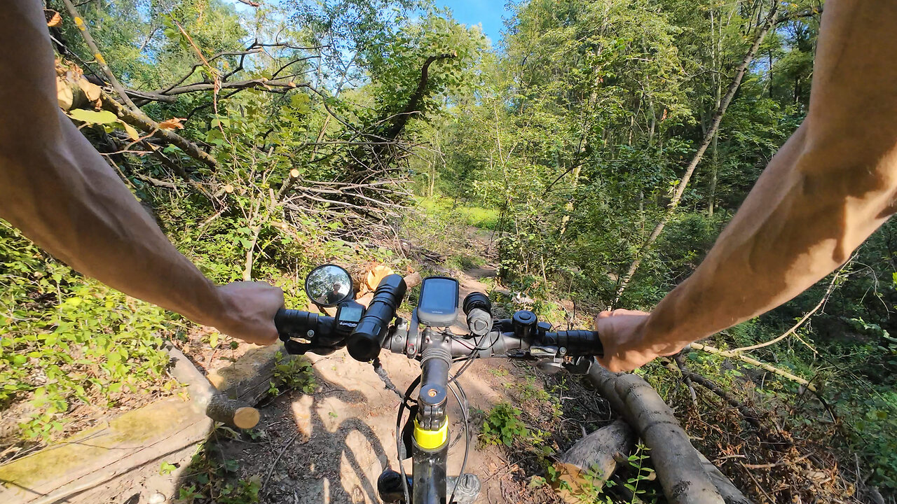 Cycling, 26.07.2024 [A] Bisamberg