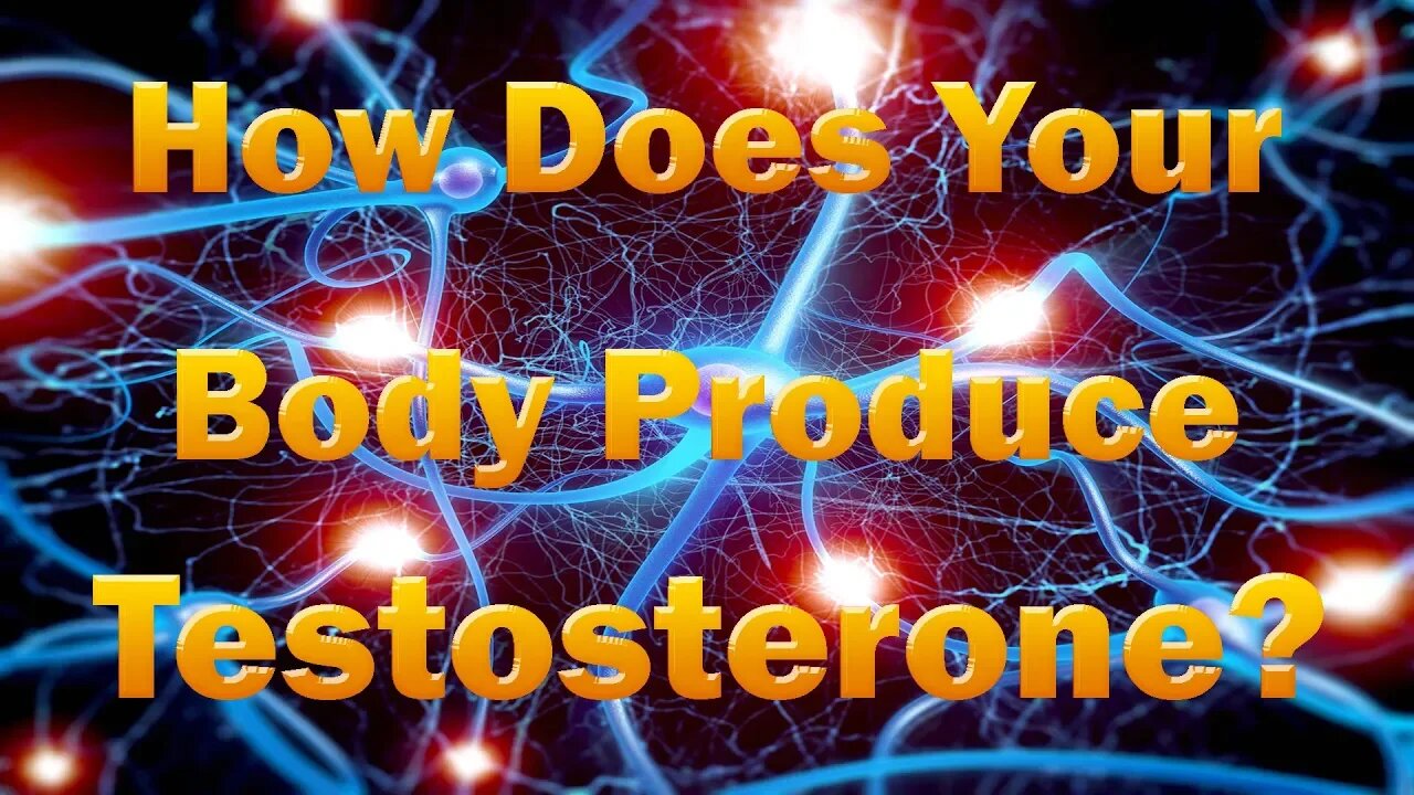 How Does Your Body Produce Testosterone? And What Causes It Not To Produce Testosterone
