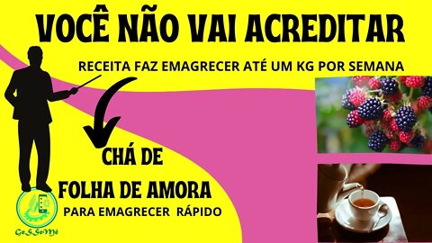 EMAGRECER RÁPIDO COM CHÁ DE FOLHA DE AMORA. RECEITA PRÁTICA CASEIRA