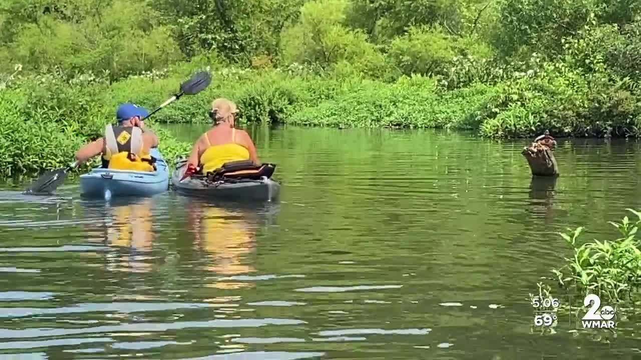 'Right now we are losing so much': people speak on the importance of state parks