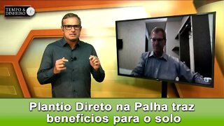 Plantio Direto na Palha traz benefícios químicos, físicos e biológicos para o solo