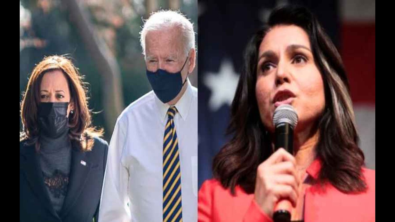 Tulsi Gabbard Takes Legal Action After Reportedly Being Put on Terrorist Watch List