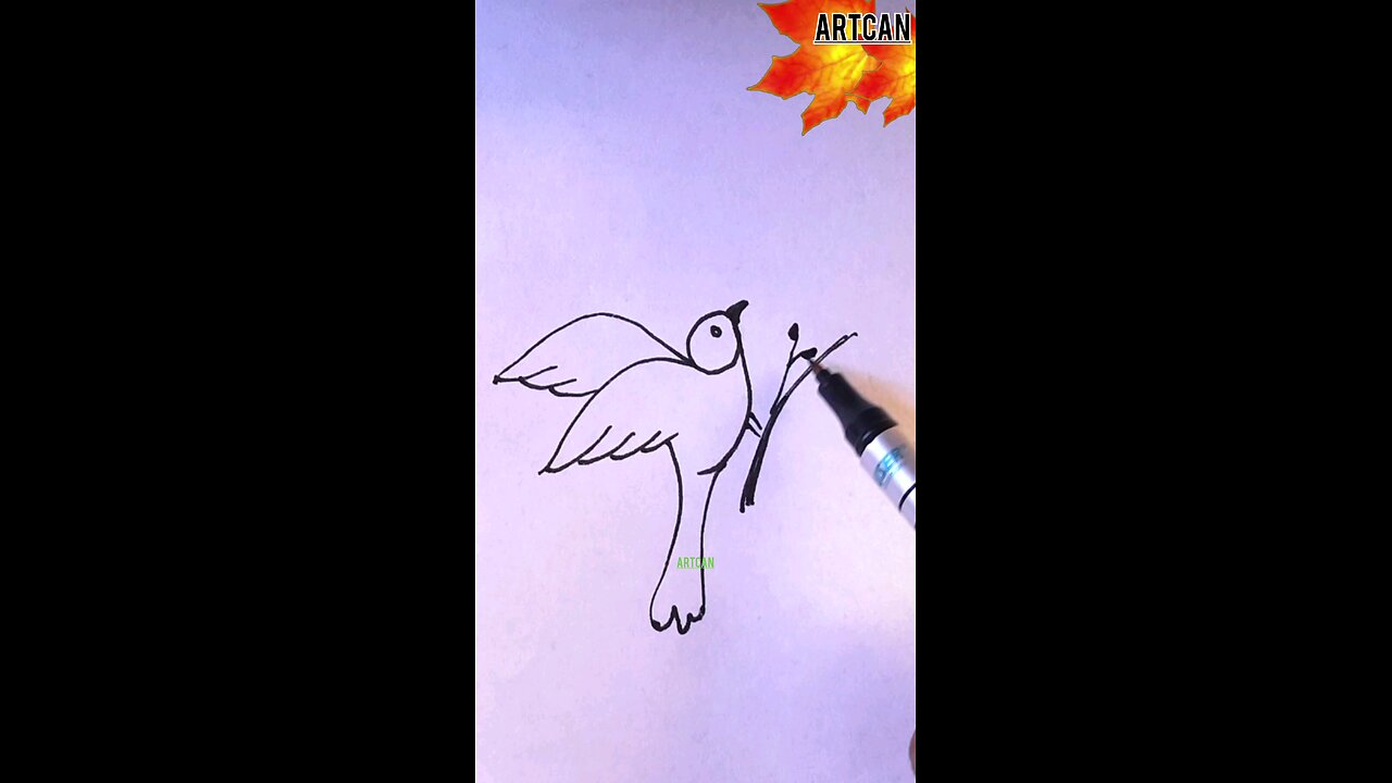 how to draw a bird 🐦