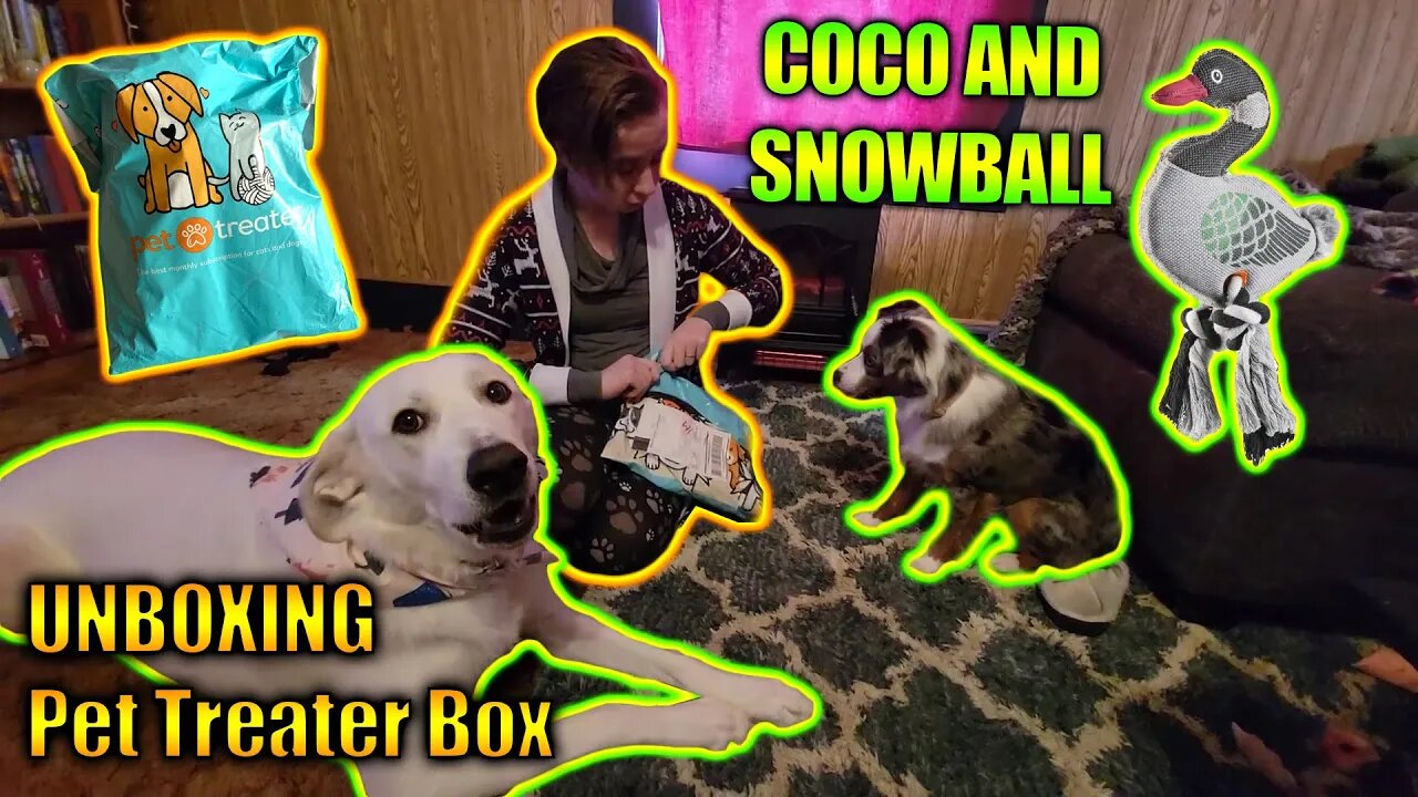 Unboxing the Pet Treater Monthly Subscription Box with Coco and Snowball