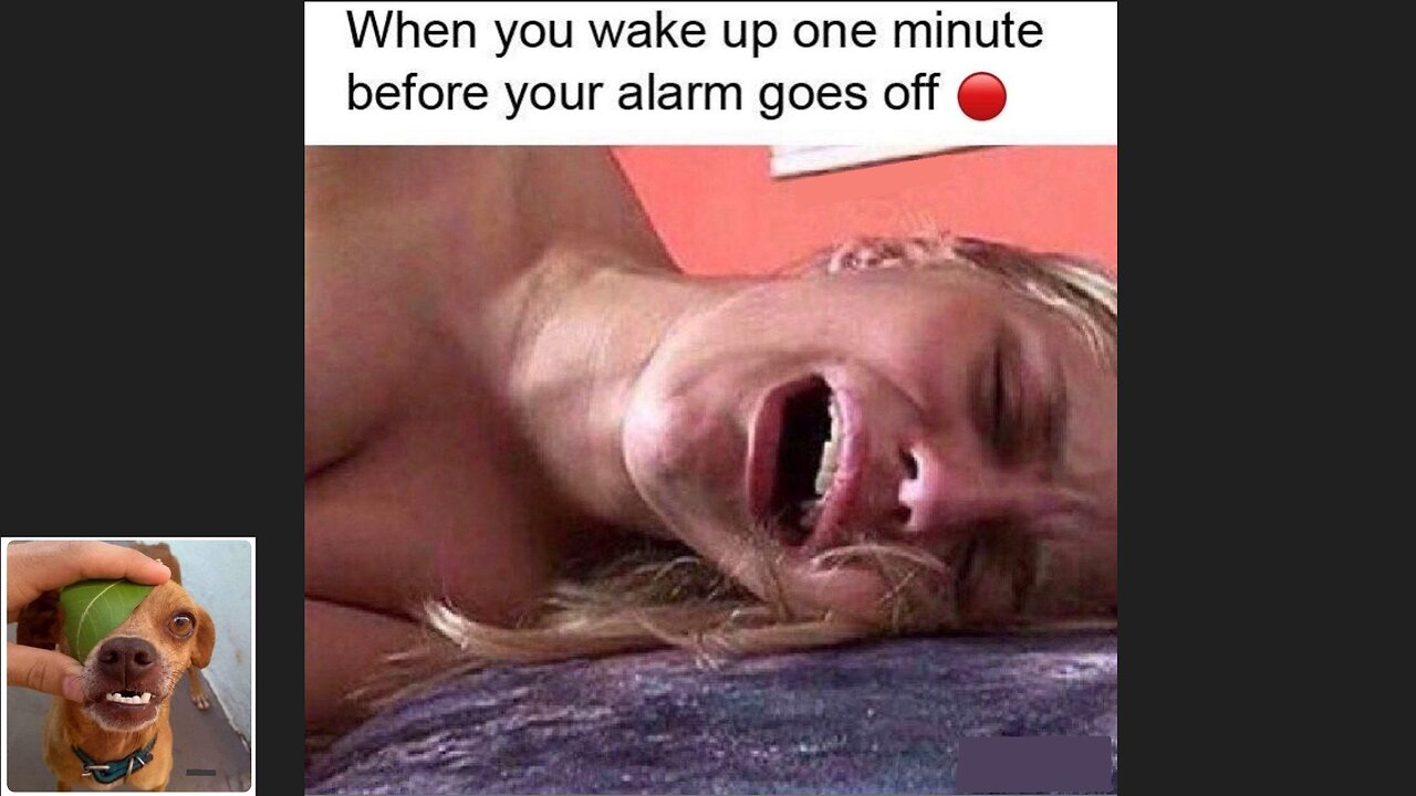 Memes That Will 99.988% Make You Laugh. (e213)