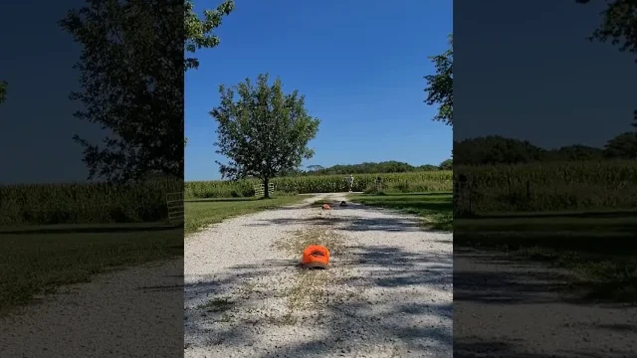 Discus Throw practice, Better, 130 feet, Crazy 🤪 old man