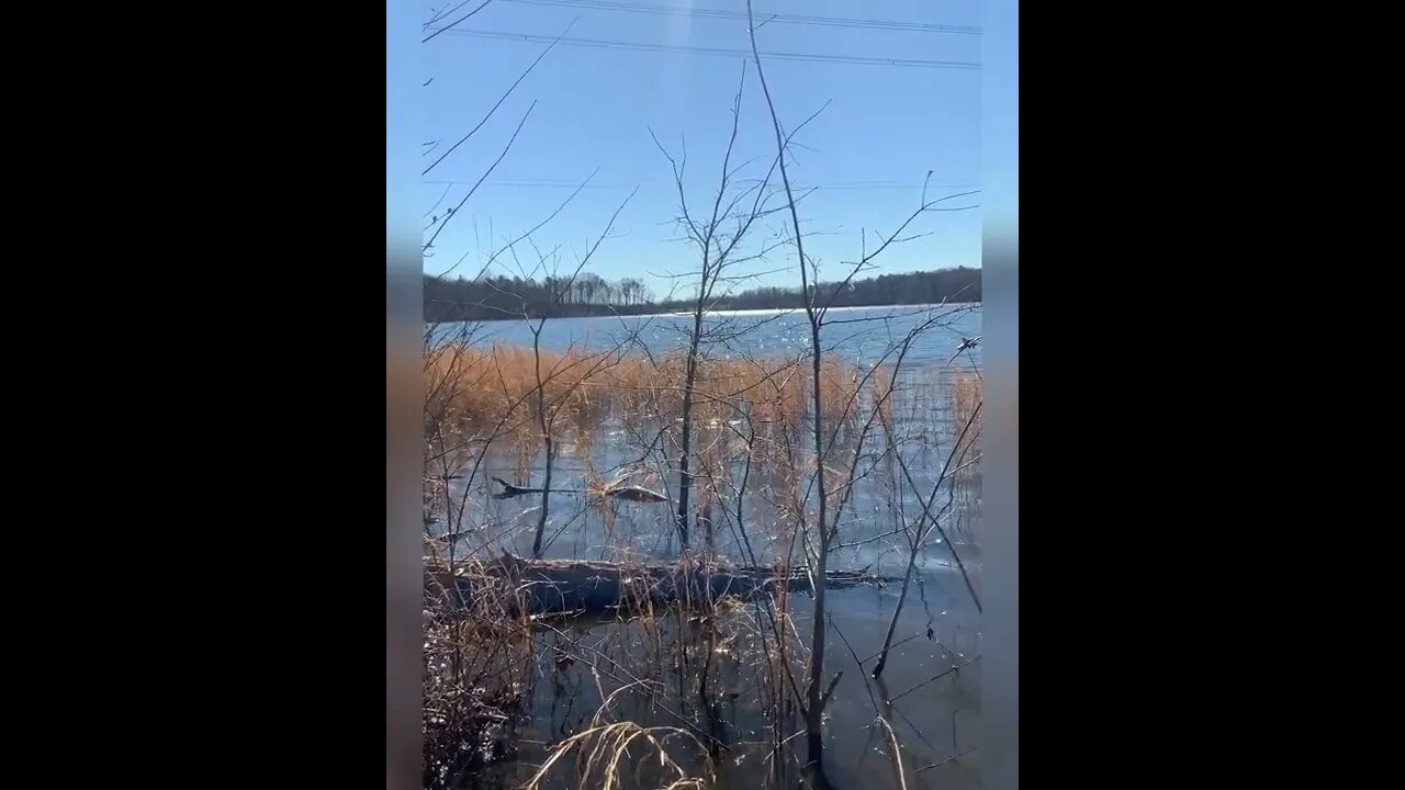 Duck River Hiking trails - Episode one